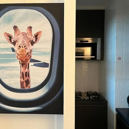 Studio Zeegiraf Zeedijk *